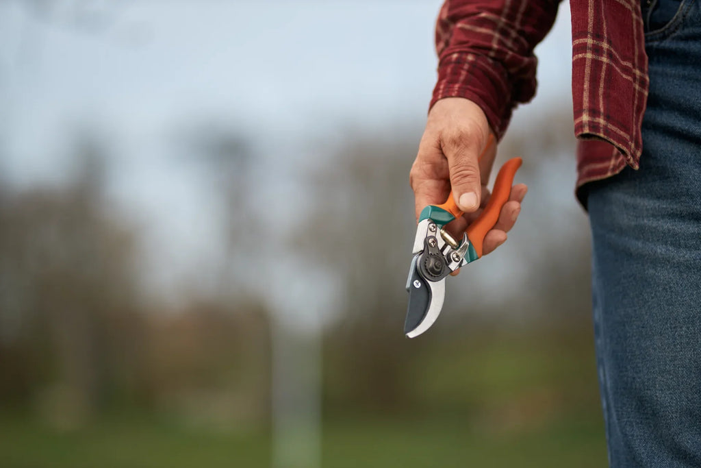 Elegir tijeras de vendimiar