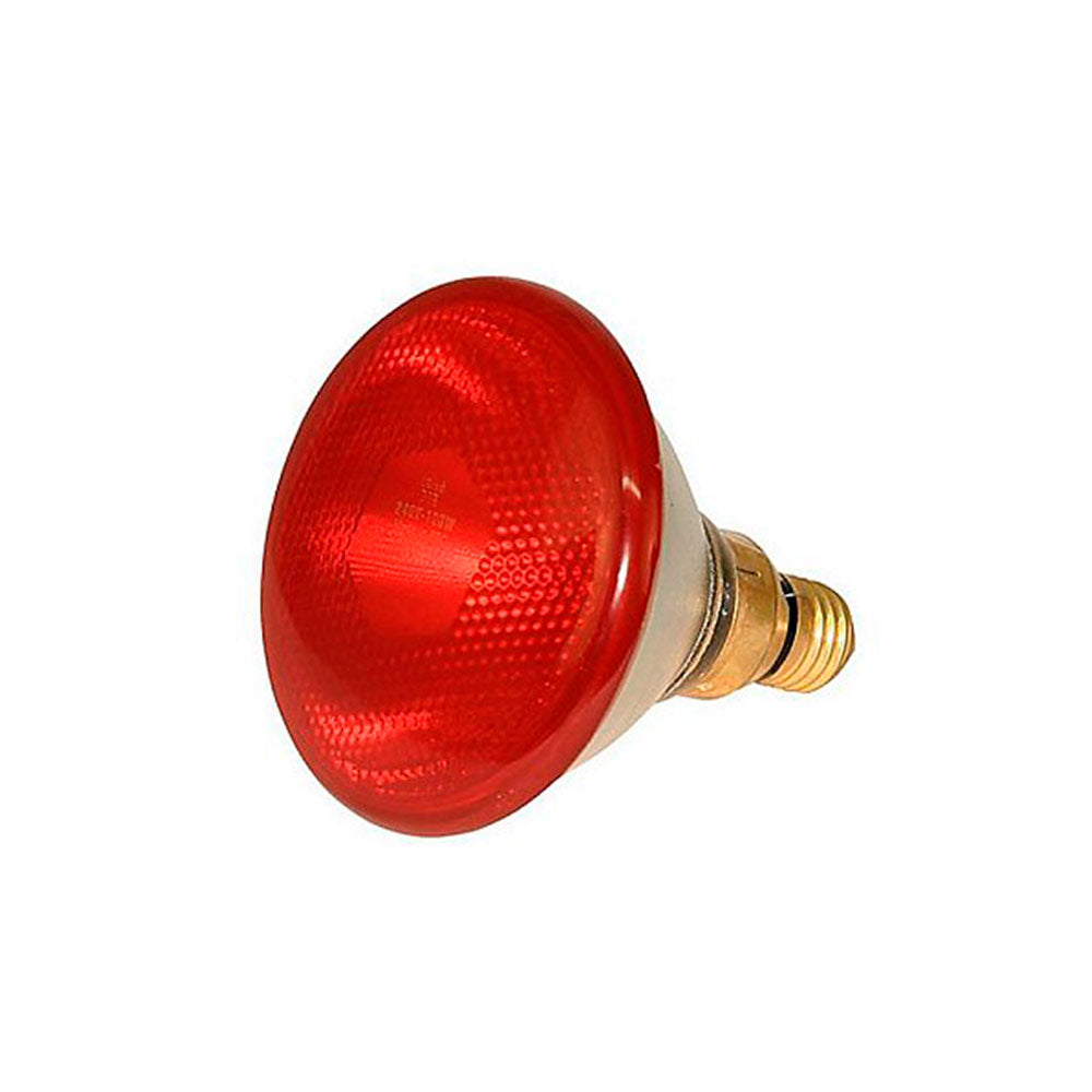 Round Chicken Brooder Round Chick Brooder for Home Poultry - Ref:11301011 โ Comercial Mida