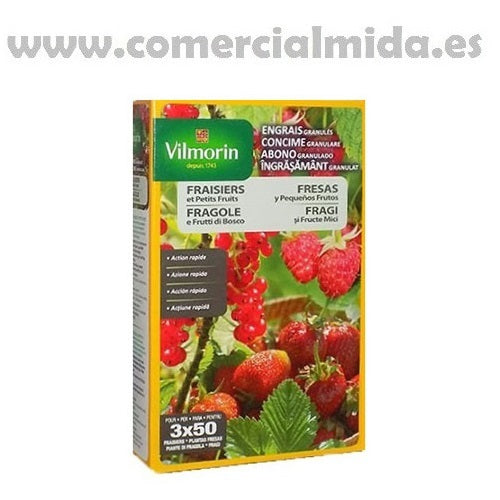 Graines d'Oignon Vertus VILMORIN 5gr – Comercial Mida