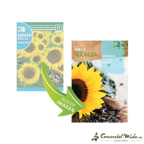 Rocalba Semillas Girasol