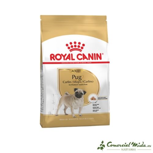 ROYAL CANIN PUG ADULT