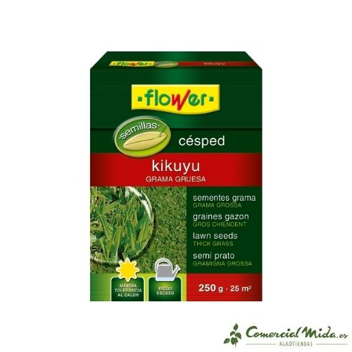 planting kikuyu grass seeds KIKUYU FLOWER LAWN SEEDS (Coarse Grass) 250g