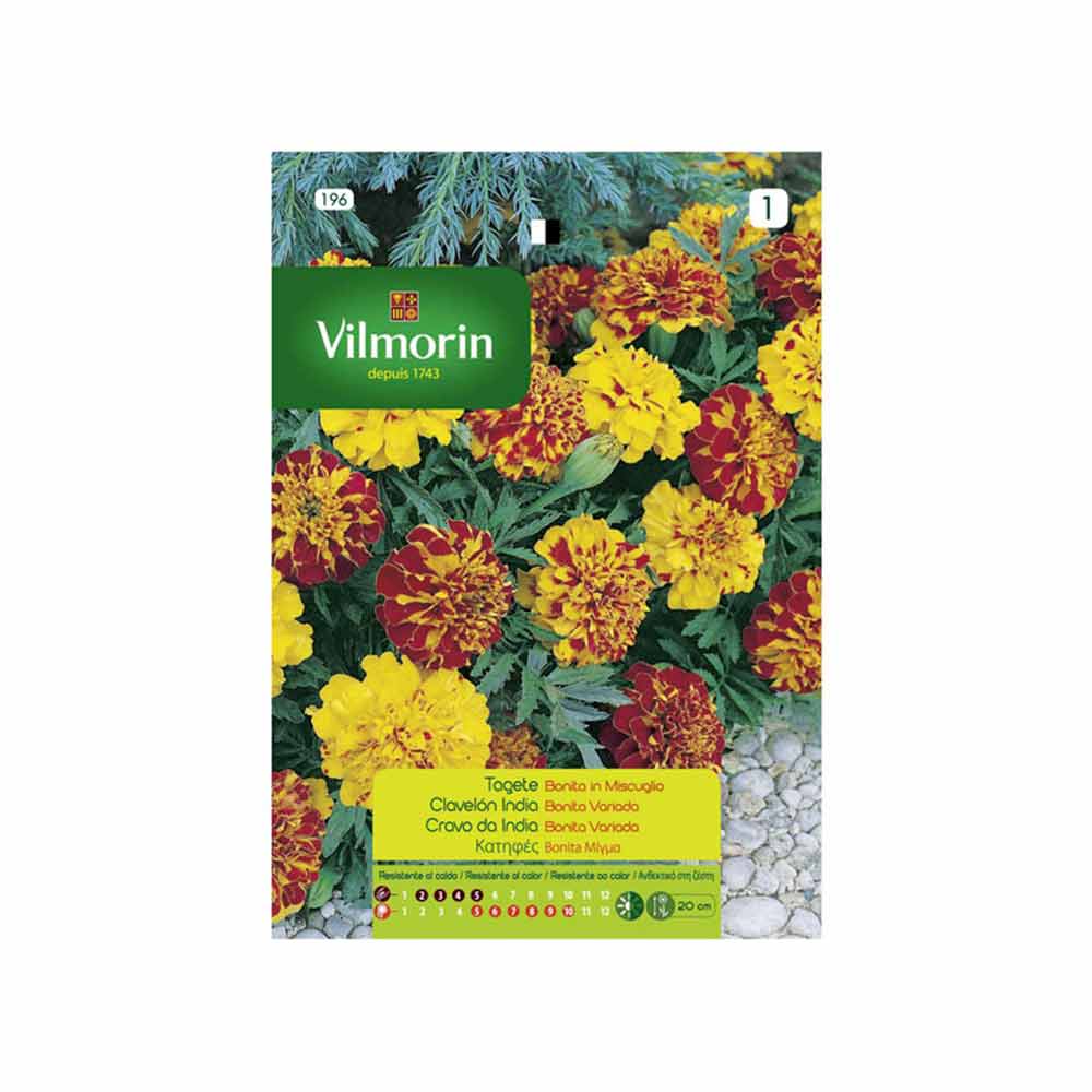 vilmorin flower seeds VILMORIN Carnation Seeds India Bonita 1,5gr