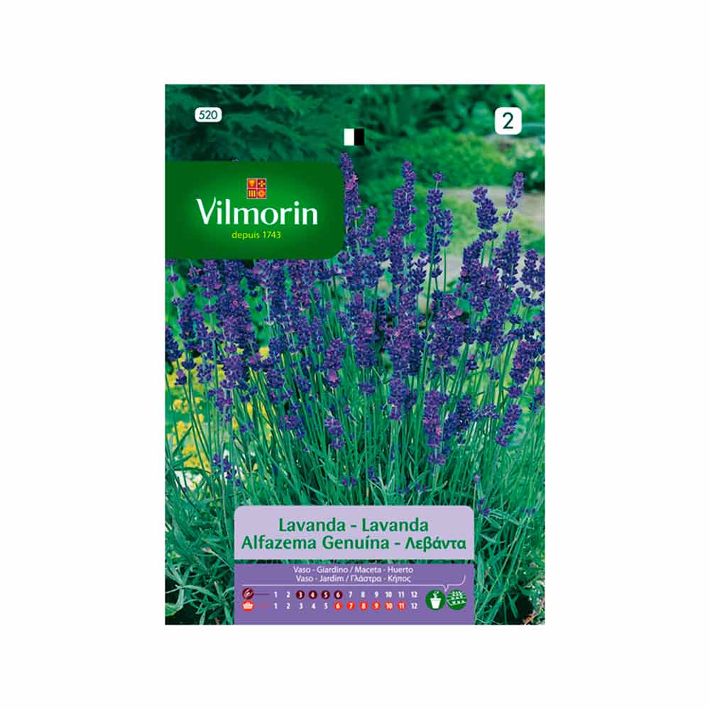 Semillas de lavanda aromática Vilmorin 2gr