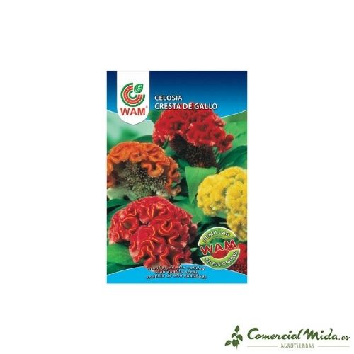 Semillas de Celosia Cresta de Gallo 1 gr de Wam