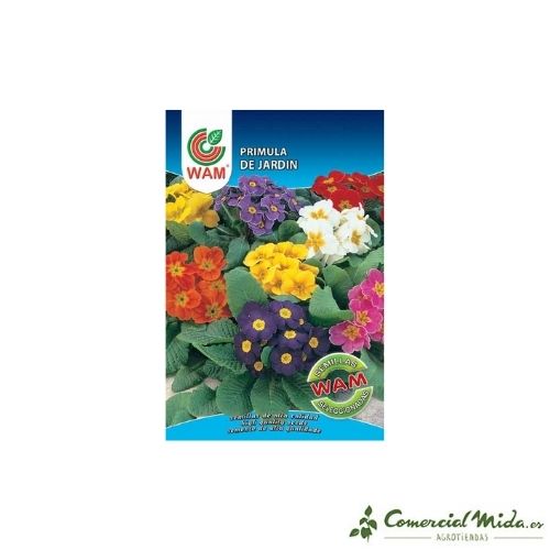 Semillas de Primula de Jardín 0,05 gr de Wam