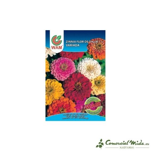 Semillas Zinnia Gigante Flor de Dalia variada 0,9 gr de Wam